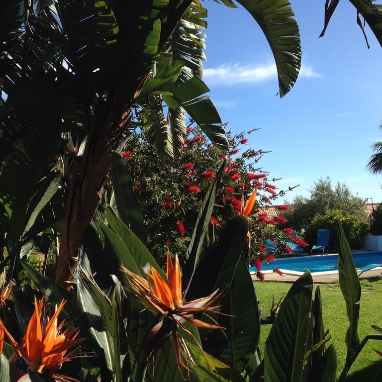 צ'פאלו B&B Villa Di Giorgi מראה חיצוני תמונה