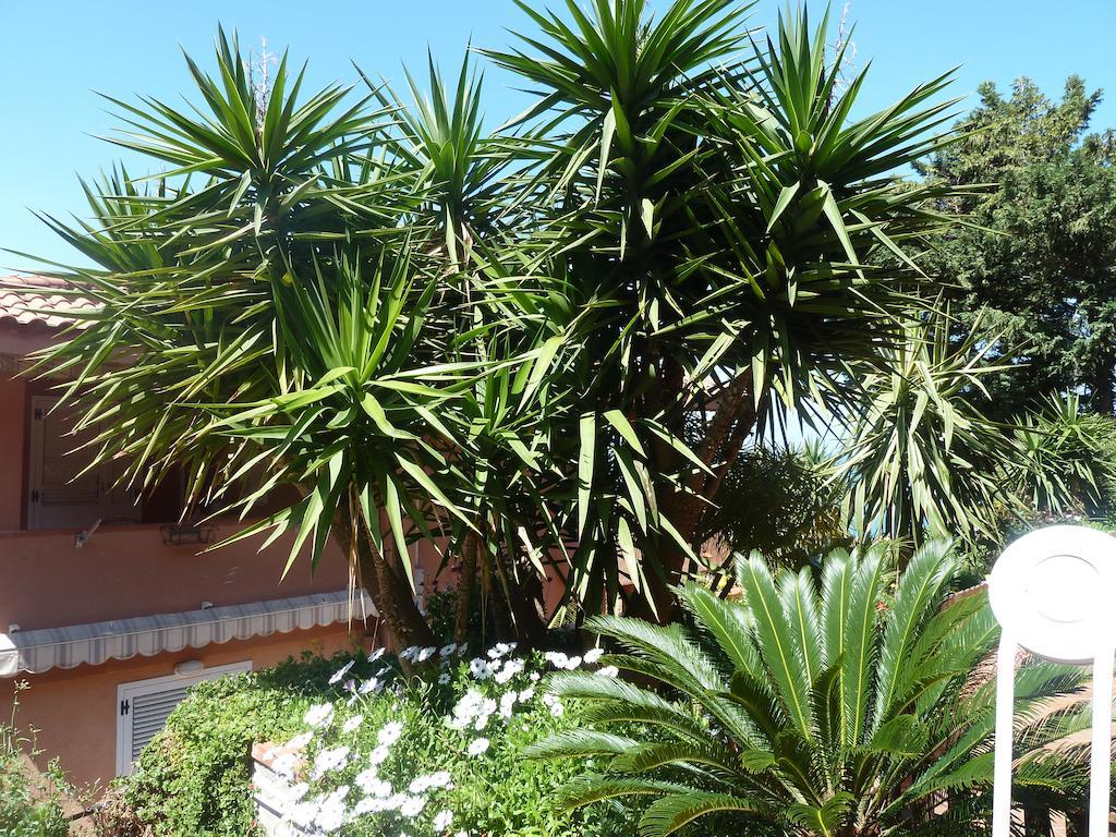 צ'פאלו B&B Villa Di Giorgi מראה חיצוני תמונה