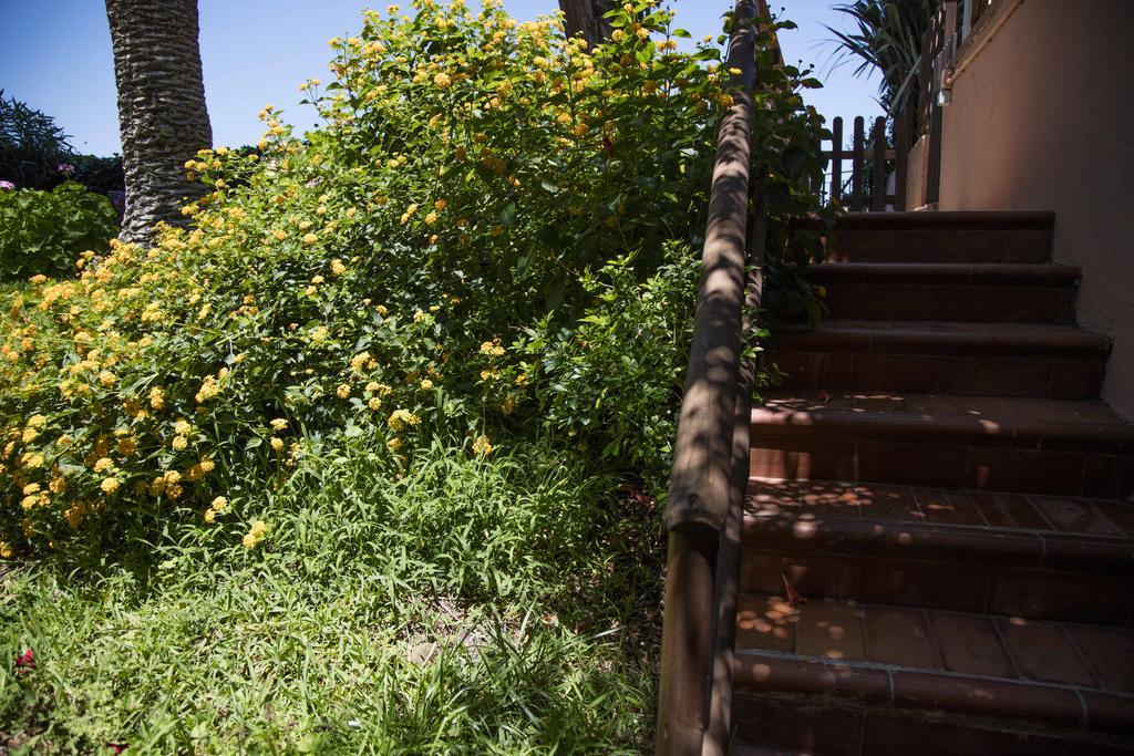 צ'פאלו B&B Villa Di Giorgi מראה חיצוני תמונה
